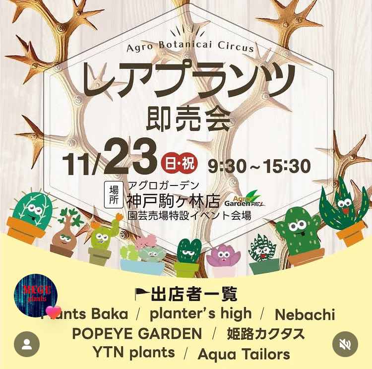 レアプランツ即売会