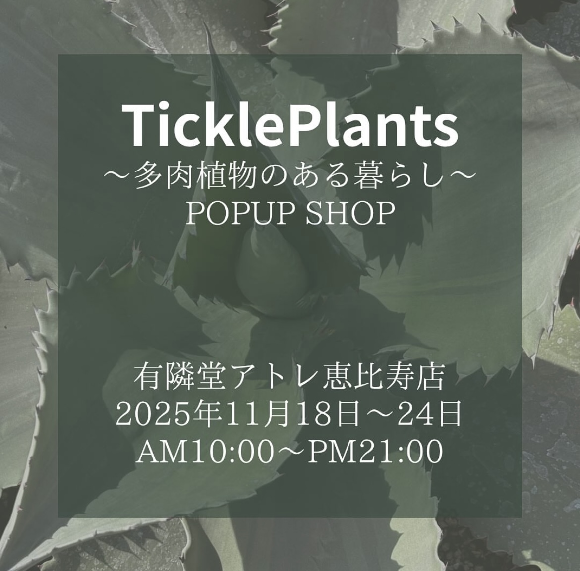 TicklePlants