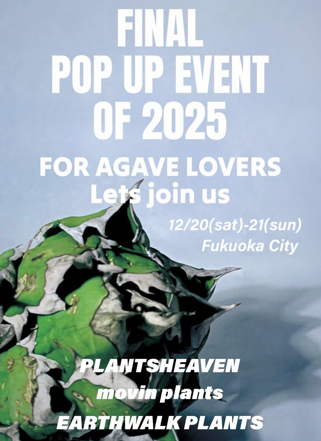 FINAL POP UP EVENT OF 2025