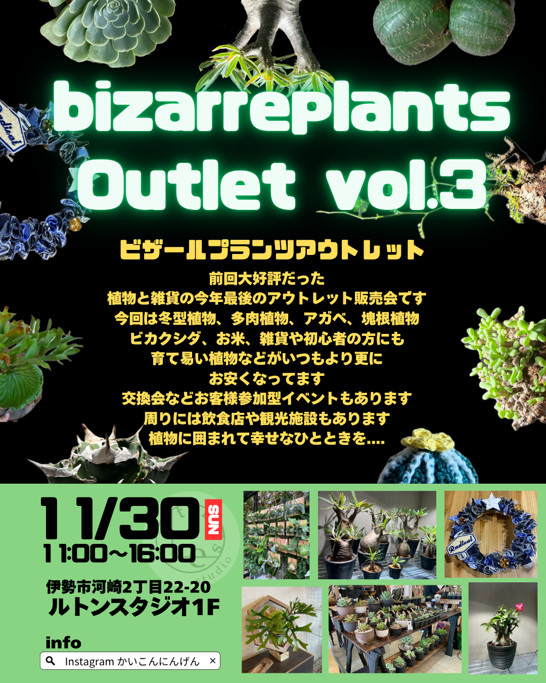 ビザールプランツアウトレットvol.3　