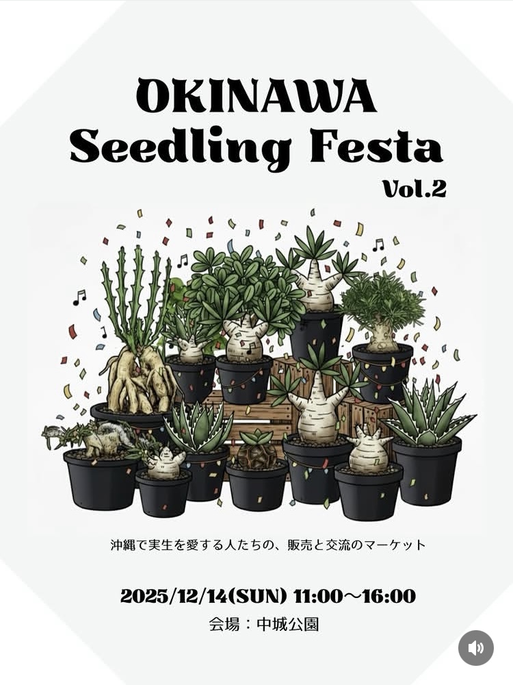 12月のイベント情報を追加しました。