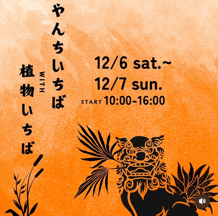 みやんちいちばwith植物いちば