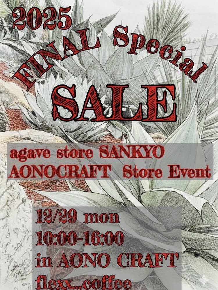 2025 FINAL Special SALE