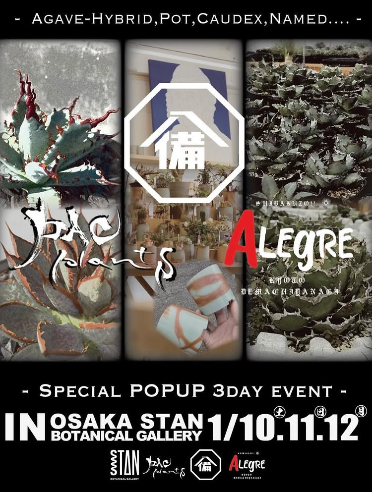 SPECIAL POPUP 3DAY EVENT