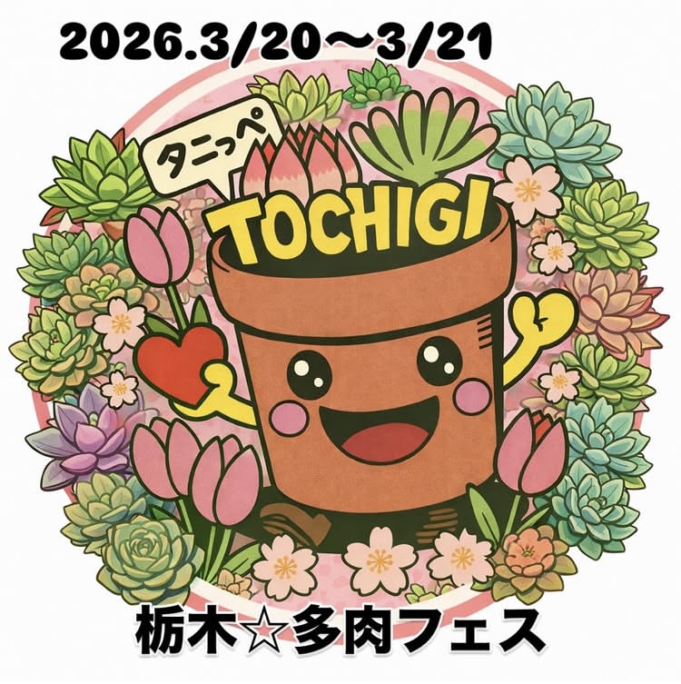 第7回 栃木⭐︎多肉フェス
