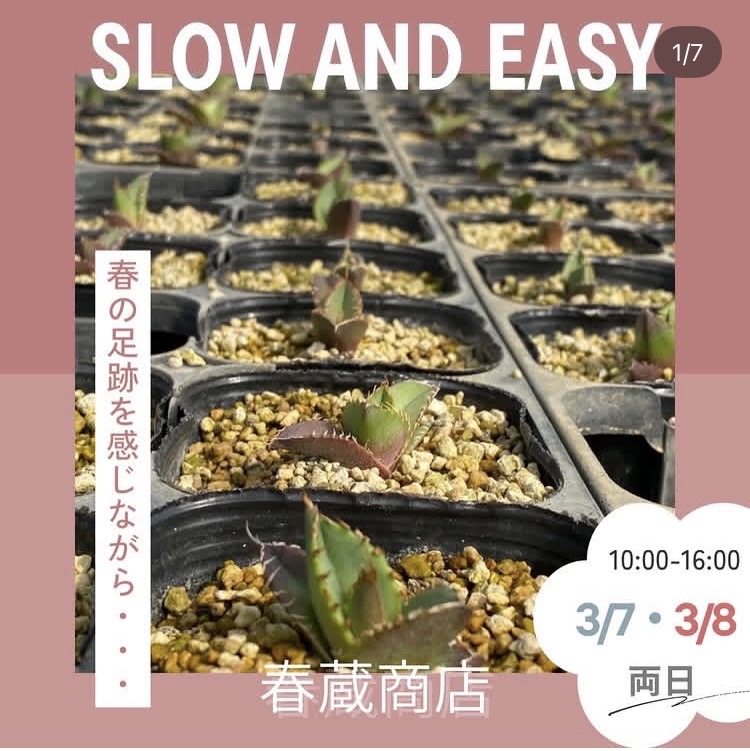 SLOW AND EASY